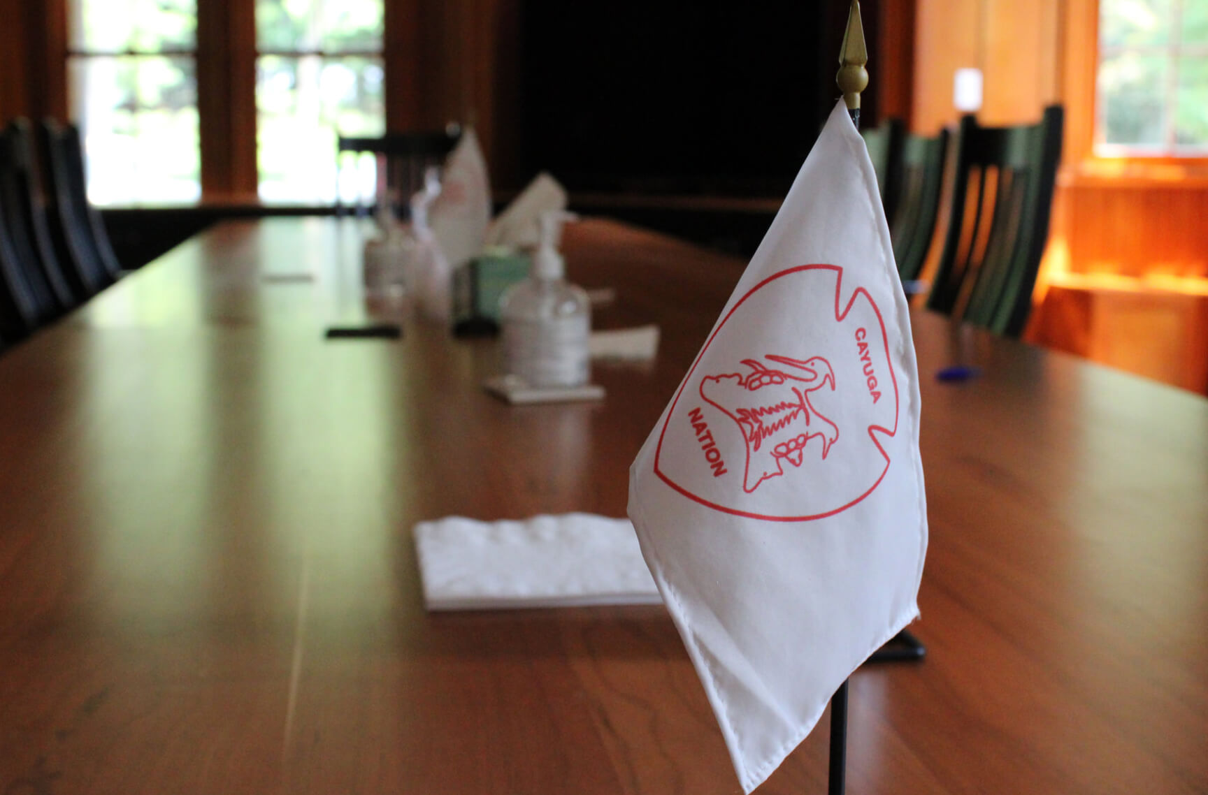Cayuga Nation Flag