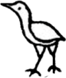 snipe