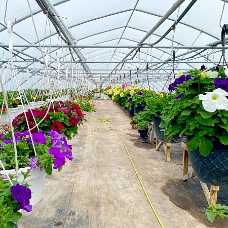 Gakwiyo Garden Greenhouse
